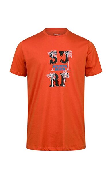 2AS Alex Baskılı Erkek Sıfır Yaka T-Shirt 047 2ASALEXBASK470450