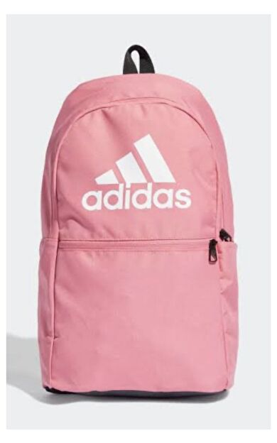 2ın Backpack