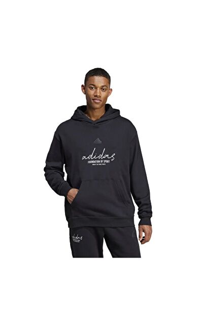 Adidas IW3533 Bl Ft Hd Q3 Erkek Sweatshirt