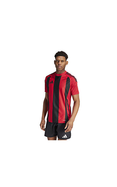 Adidas STRIPED 24 JSY Erkek Futbol Forması IW4556 Renkli