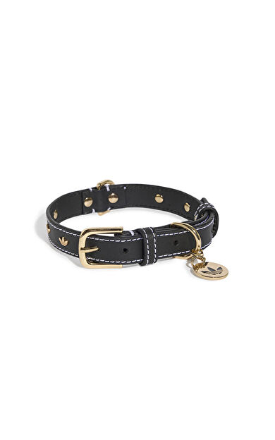 Adidas PET COLLAR Tasma KY8798 Siyah