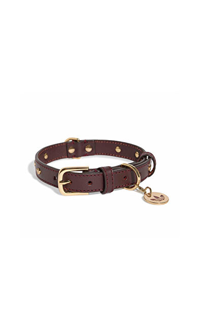Adidas PET COLLAR Tasma KY8799 Kırmızı