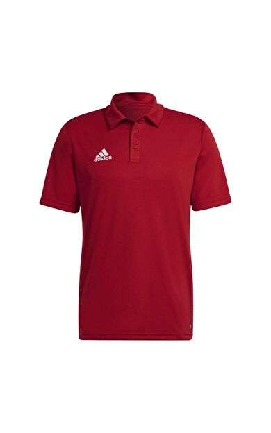 Adidas H57489 Ent22 Polo Erkek Polo Tişört