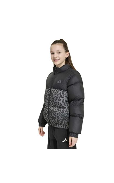 adidas Jg Sd Aop Jkt Çocuk