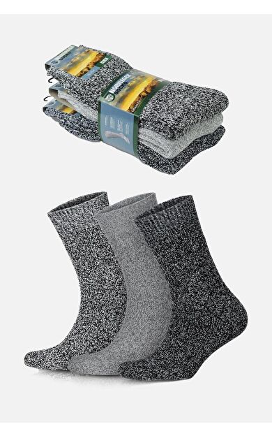 Aytuğ Erkek Norweger Merino Yünü Kışlık 3'Lü Renkli Soket Bot Çorabı Çok Renkli