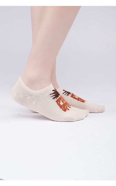 Aytuğ Kadın Pamuklu Tekli No Show Çorap Bej
