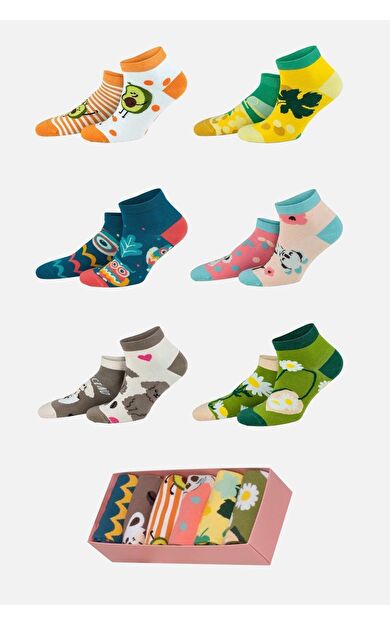 Aytuğ Unisex Pamuklu Özel Kutulu Eğlenceli Patik Çorap 6 Çift Çok Renkli
