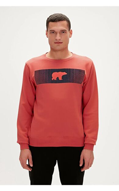 Bad Bear 19.02.12.007-C109 Fancy Erkek Sweatshirt