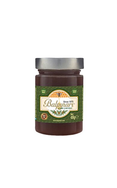 Balpınarı Özel Seçim Süzme Çam Salgı Ham Balı 450 g