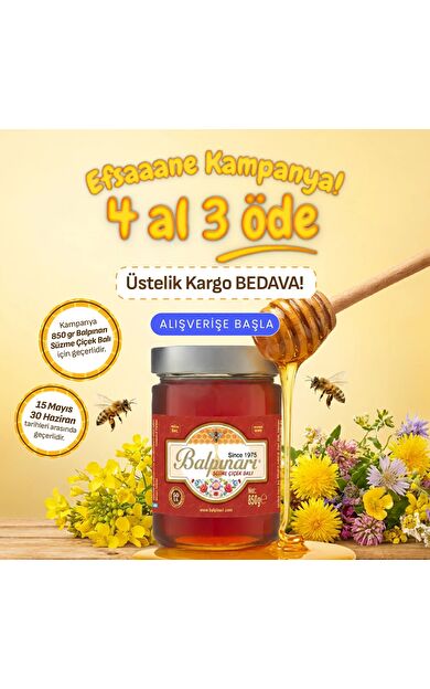 Balpınarı Süzme Çiçek Balı 850 G