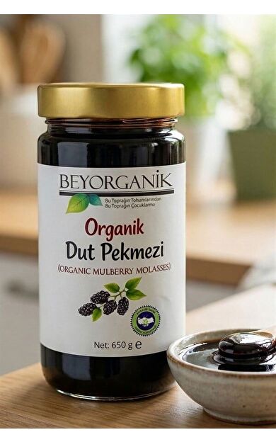 Organik Dut Pekmezi 650gr