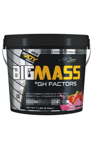 Bigjoy Bigjoy Big Mass Gh Factors 5000 Gr Çilek Aromalı