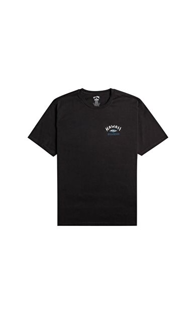 Billabong EBYZT00107 Arch Dreamy Place Ss Erkek Tişört