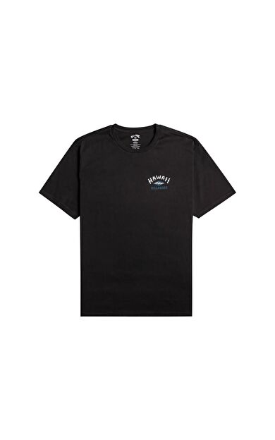 Billabong EBYZT00107 Arch Dreamy Place Ss Erkek Tişört