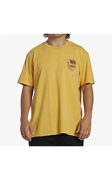 Billabong Reflections Tees Erkek Tişört ABYZT02278