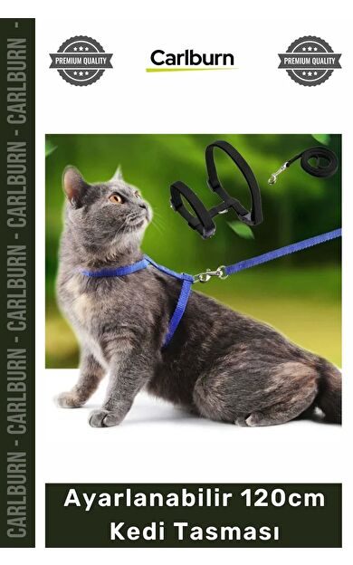 #KediTasması Renkli Lacivert Mavi Kırmızı Siyah Konforlu Dayanıklı Ayarlanabilir 120cm Kedi Tasması