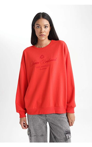 DeFacto Relax Fit Bisiklet Yaka İnce Sweatshirt Kumaşı Sweatshirt