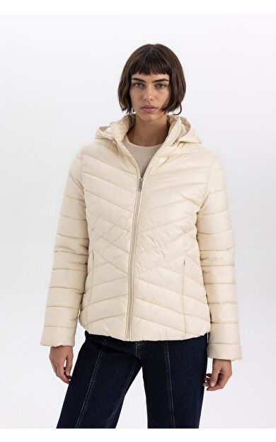 DeFactoFit Su Geçirmez Regular Fit Kapüşonlu Mont B2030AX24SPBG414