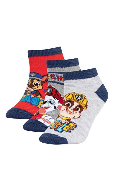 Erkek Çocuk PAW Patrol Pamuklu 3'lü Patik Çorap