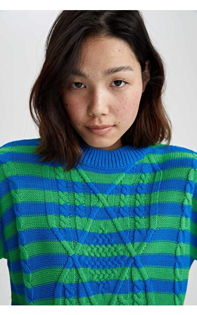 DeFacto Regular Fit Bisiklet Yaka Kazak