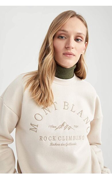 DeFacto Regular Fit Bisiklet Yaka Kalın Sweatshirt Kumaşı Sweatshirt