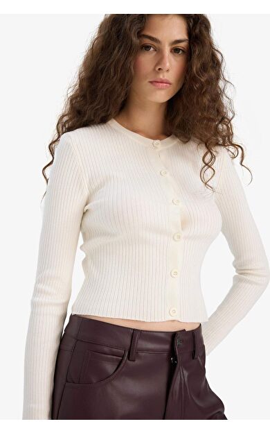 DeFacto Regular Fit Bisiklet Yaka Triko Hırka A2076AX25WNER105