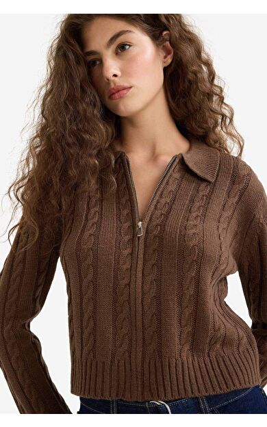 DeFacto Regular Fit Polo Yaka Fermuarlı Triko Hırka A3331AX25WNBN319