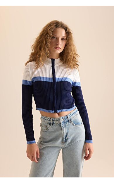 DeFacto Coool Regular Fit Yarım Balıkçı Yaka Triko Hırka