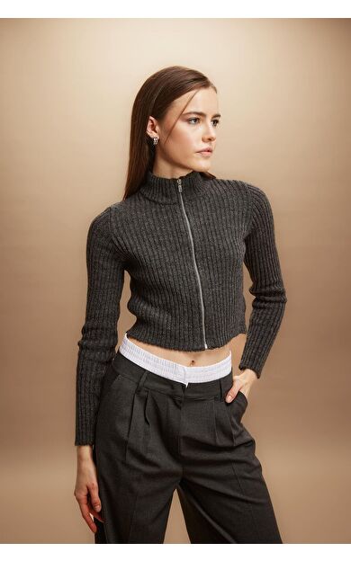 DeFacto Slim Fit Dik Yaka Fermuarlı Triko Hırka