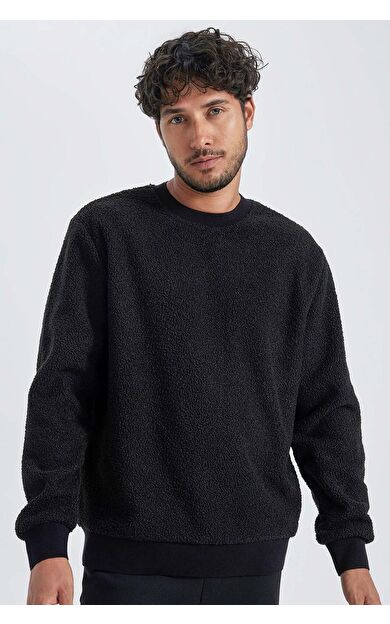 DeFacto Regular Fit Bisiklet Yaka Pelüş Sweatshirt