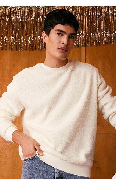 DeFacto Regular Fit Bisiklet Yaka Pelüş Sweatshirt