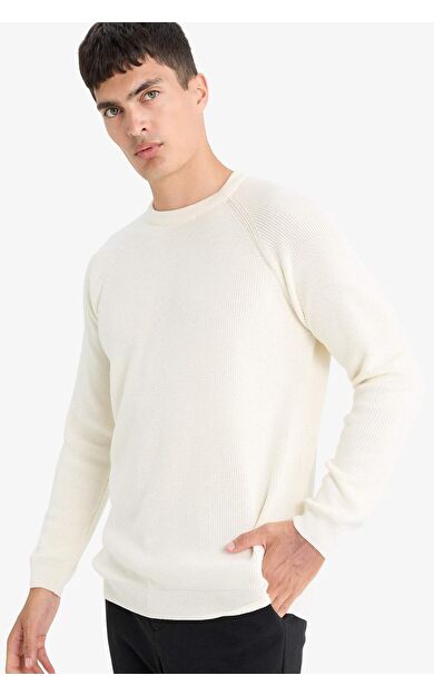 DeFacto Standart Fit Bisiklet Yaka Triko Kazak A8458AX25WNER139