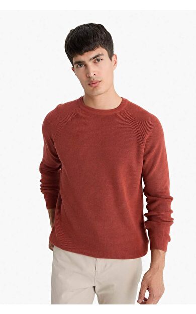 DeFacto Standart Fit Bisiklet Yaka Triko Kazak A8458AX25WNOG61