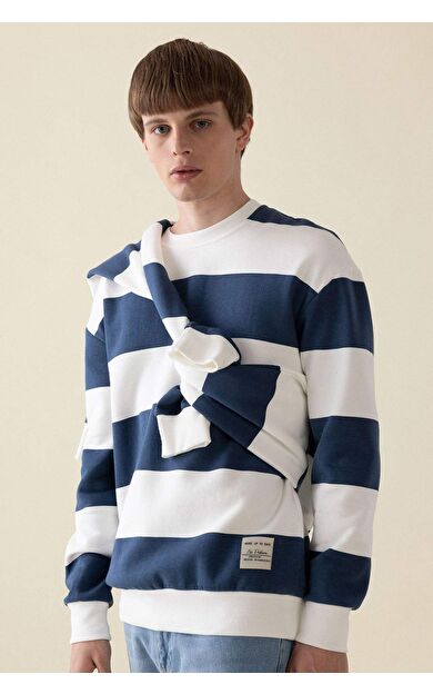 DeFacto Boxy Fit Bisiklet Yaka Çizgili Sweatshirt A9066AX24AUBE88