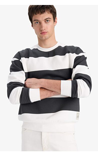 DeFacto Boxy Fit Bisiklet Yaka Çizgili Sweatshirt A9066AX25AUAR104