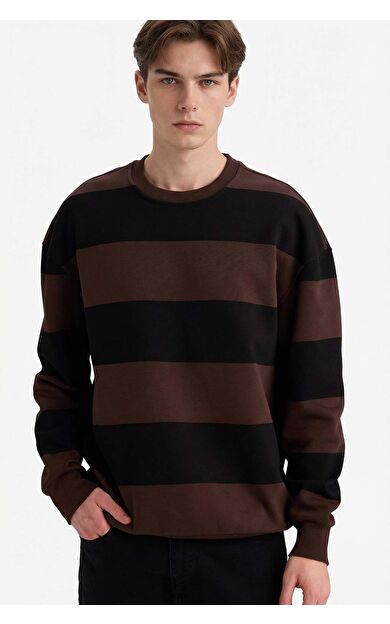 Boxy Fit Bisiklet Yaka Çizgili Sweatshirt