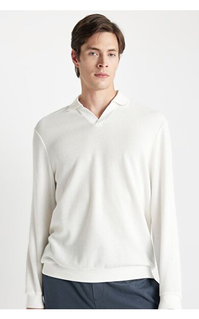 DeFacto Regular Fit Polo Yaka Jakarlı Sweatshirt A9785AX24AUWT32