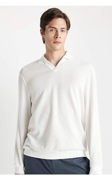 DeFacto Regular Fit Polo Yaka Jakarlı Sweatshirt A9785AX24AUWT32