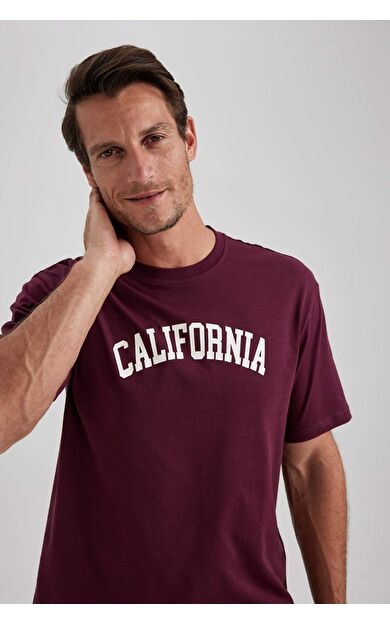 DeFacto Regular Fit Bisiklet Yaka Kısa Kollu Tişört B0656AXNSBR34