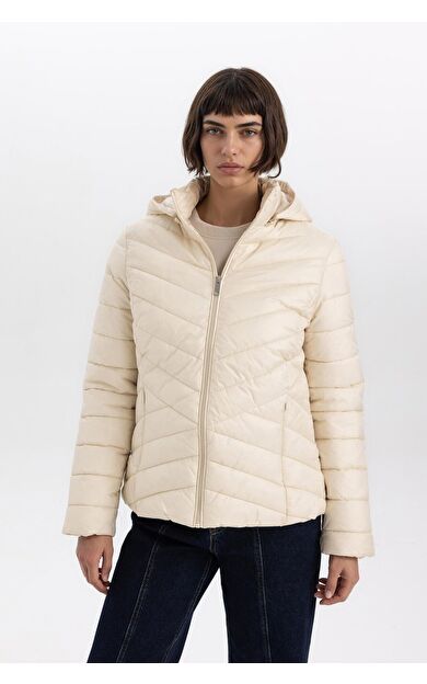 DeFacto Su Geçirmez Regular Fit Kapüşonlu Mont B2030AX24SPBG414