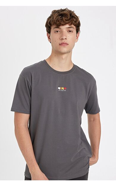 DeFacto Regular Fit Bisiklet Yaka Baskılı Kısa Kollu Tişört B5076AX24AUGR474