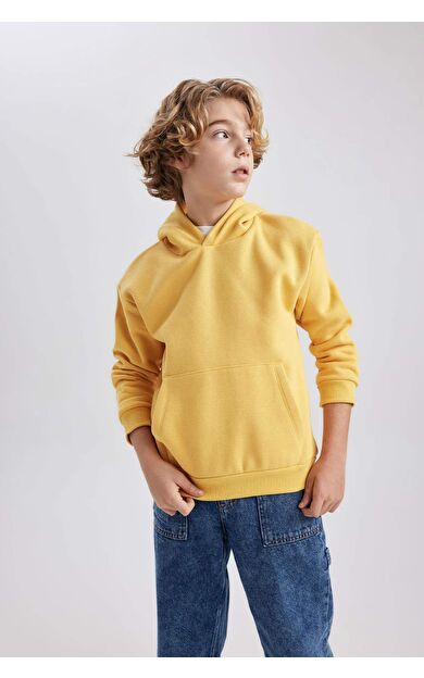 DeFacto Erkek Çocuk Regular Fit Kapüşonlu Sweatshirt B7773A8NSYL275