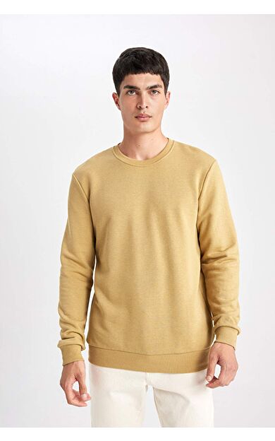 DeFacto Regular Fit Bisiklet Yaka Sweatshirt B7833AXNSKH258