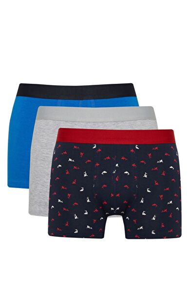 DeFacto Regular Fit 3'lü Boxer