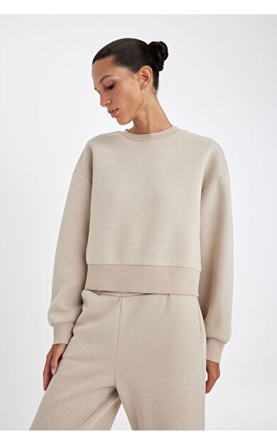 DeFacto Boxy Fit Bisiklet Yaka Kalın Sweatshirt B8568AX24WNBG187