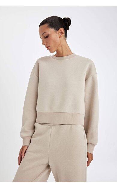 DeFacto Boxy Fit Bisiklet Yaka Kalın Sweatshirt B8568AX24WNBG187