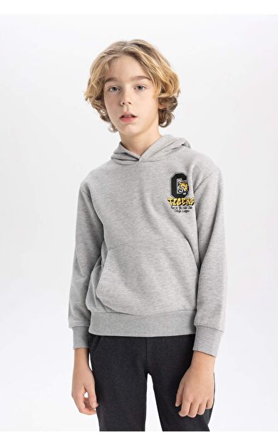 DeFacto Erkek Çocuk Baskılı Kapüşonlu Kalın Sweatshirt B9012A823CWGR210