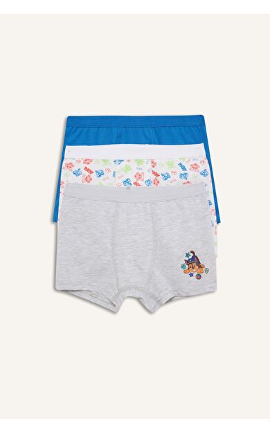 DeFacto Paw Patrol Desenli 3'lü Boxer Erkek Çocuk