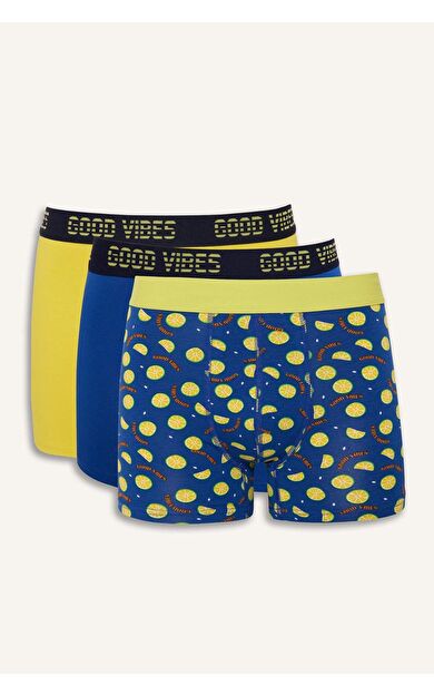 Regular Fit Meyve Desenli 3'lü Boxer