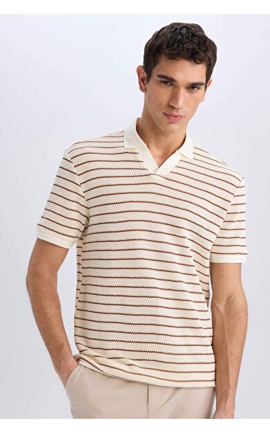 DeFacto Regular Fit Çizgili Triko Kısa Kollu Polo Tişört C4150AX25SMBN312